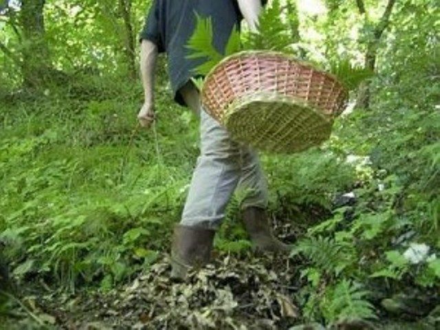 Cercatori di funghi piombinesi ritrovati dopo ore di ricerche