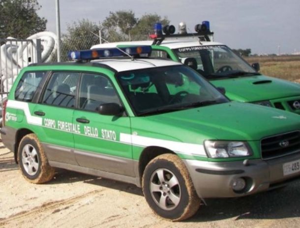 Ambiente, i controlli del Corpo Forestale