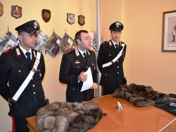 I carabinieri di Capraia e Limite e le due pellicce recuperate