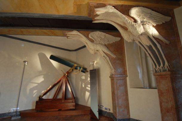 Museo Storia Naturale Torrino Specola Sala delle Cicogne