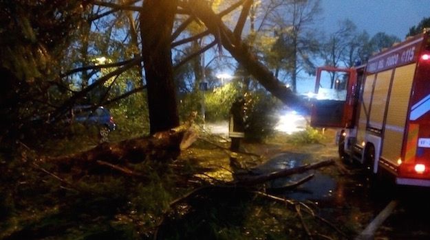 Alberi caduti sul Lungarno Colombo durante il nubifragio di ieri 1 agosto (foto Vigili del Fuoco)