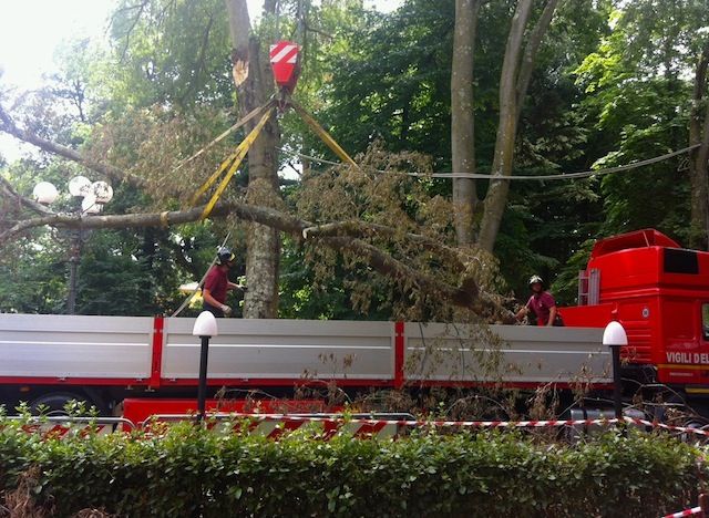 I vigili del Fuoco durante la rimozione del ramo