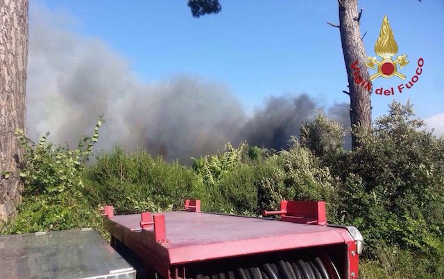Fuoco nella pineta di Calambrone (Foto Vigili del Fuoco)