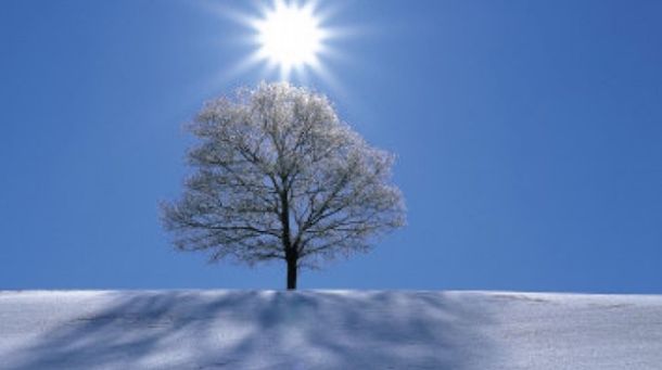 Il sole a inizio febbraio non vuol dire che l'inverno è finito