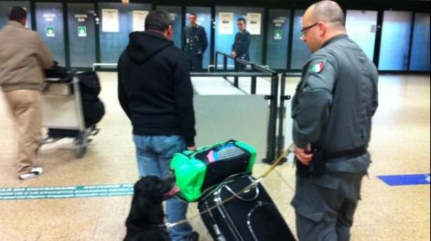Fondamentale l'aiuto dei cani antidroga della Gdf