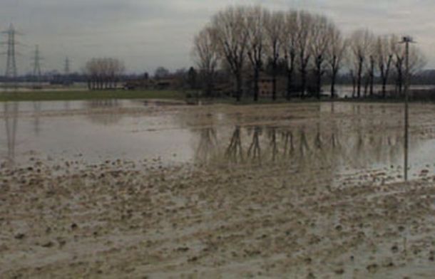 Campi allagati, milioni di danni