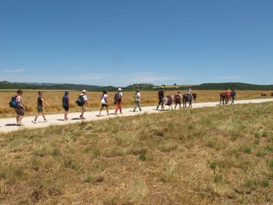 Festival della Viandanza