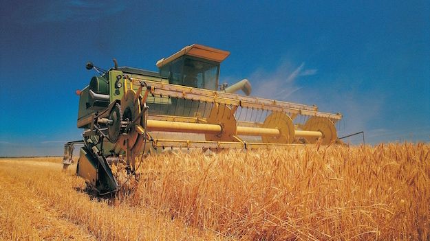 Si avvicina la scadenza dell'Imu sui terreni agricoli