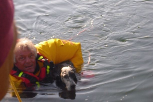 Il cane riportato a riva dopo il salvataggio