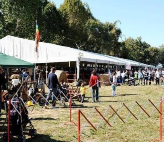 Expo rurale, l'agricoltura nel cuore di Firenze