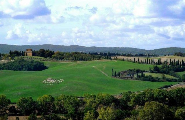 L'azienda di Suvignano confiscata alla Mafia