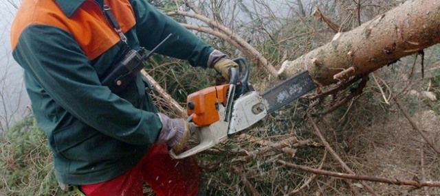 Muore travolto da un tronco mentre stava lavorando a Barberino