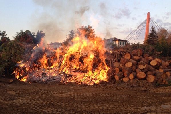 L'incendio di legnami alla Ditta Pistocchi stamani 20 settembre