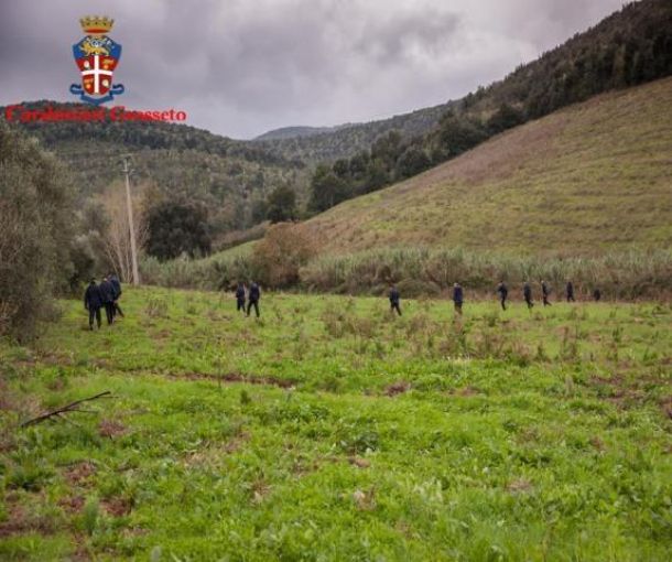 Le ricerche dei carabinieri nei boschi di Gavorrano