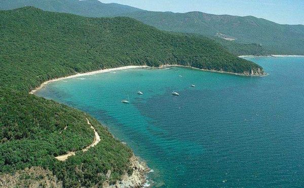 Cala Violina, una delle perle della costa maremmana