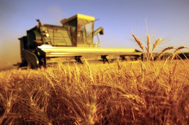 «Oscar Green 2015»