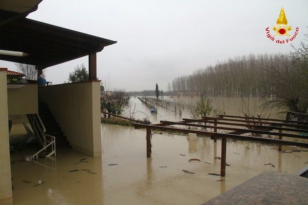 Una piantagione alluvionata nel pisanoUna piantagione alluvionata nel pisano