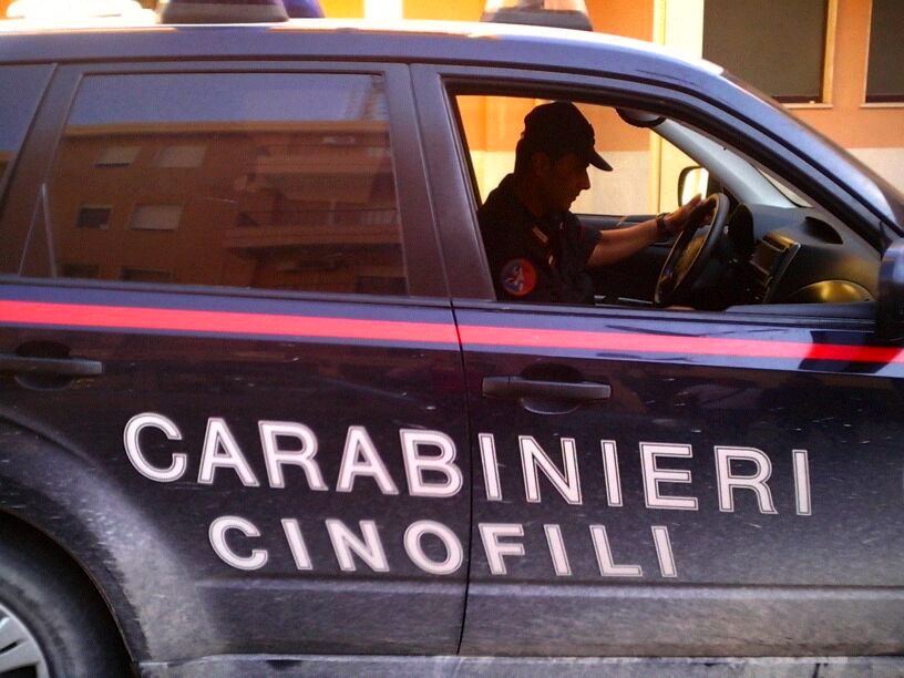 Carabinieri cinofili