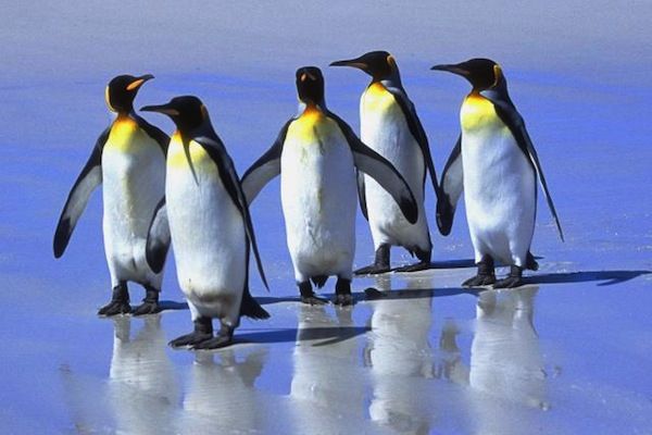 Freddo e gelo in arrivo in Toscana