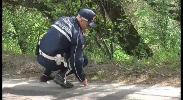 Gli accertamenti svolti dalla polizia municipale di Arezzo