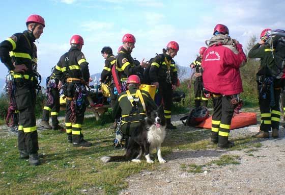 Squadre di Vigili del Fuoco durante un'esercitazione di ricerca persone