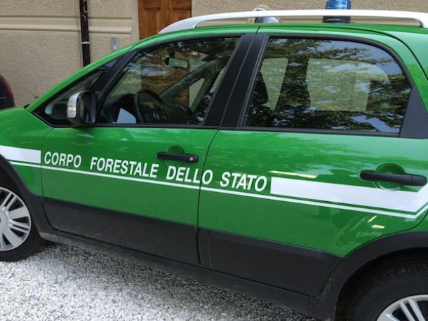 Un'auto del Corpo Forestale dello Stato