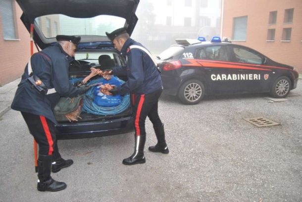 Fermato ladro di rame