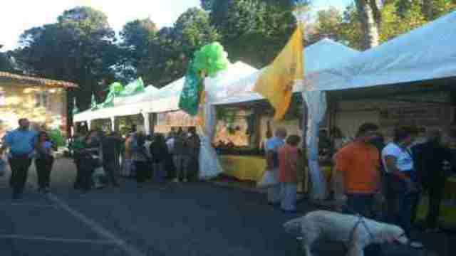 Expo rurale edizione 2013