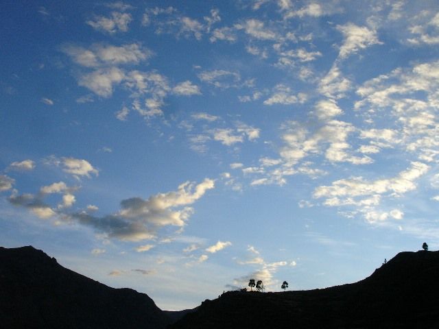 L'uomo è il principale responsabile dei cambiamenti climatici