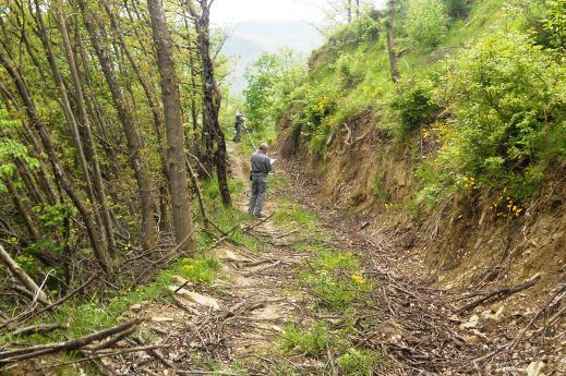 Gli uomini della Forestale nel bosco devastato a Firenzuola
