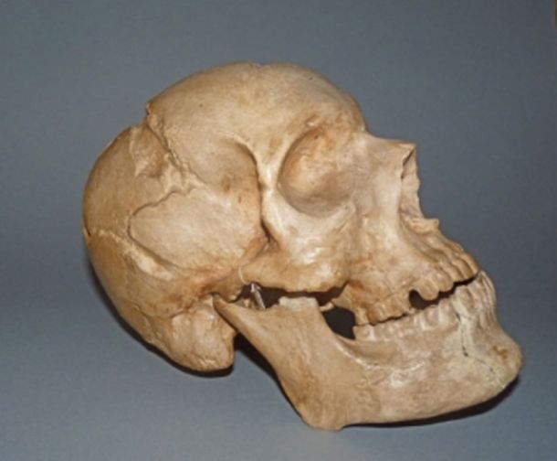 Studio sulle sepolture minori de' Medici