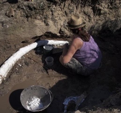 Lo scavo a Poggetti Nuovi, alle porte di Grosseto