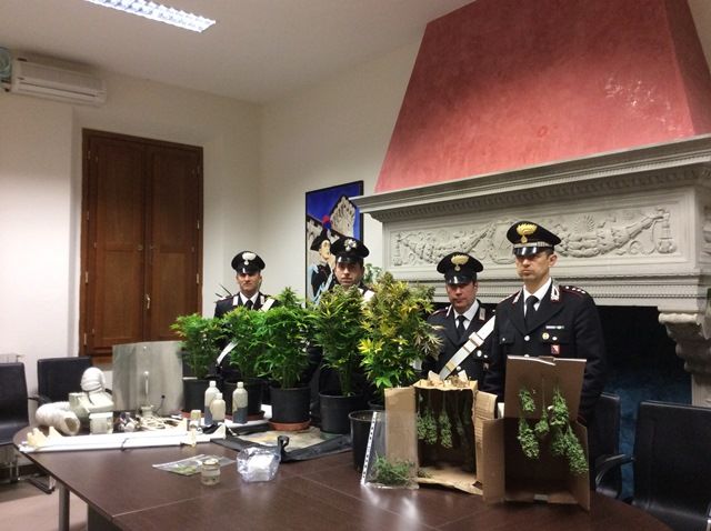 Le piante di marijuana sequestrate nella sera di un giovane nel Mugello
