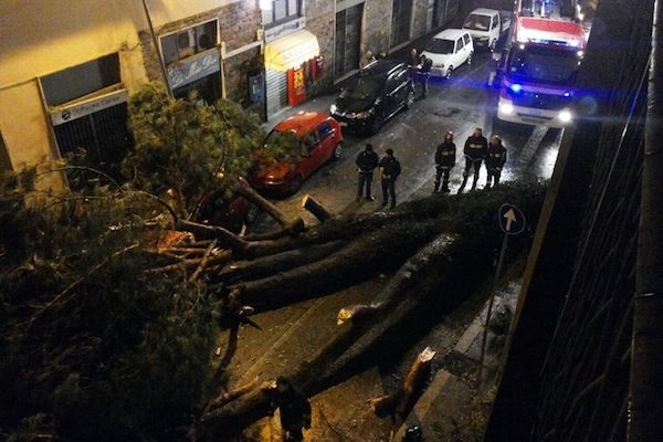 L'albero caduto via Torcicoda (da Facebook)