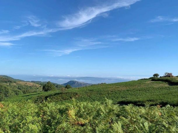 parco faunistico monte amiata