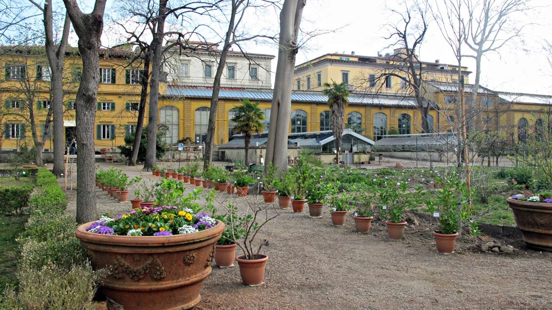 Il Giardino dei Semplici a Firenze