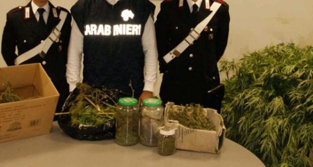 La marijuana sequestrata