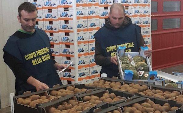 La Forestale è intervenuta: controlli a raffica sui prodotti agricoli in vendita