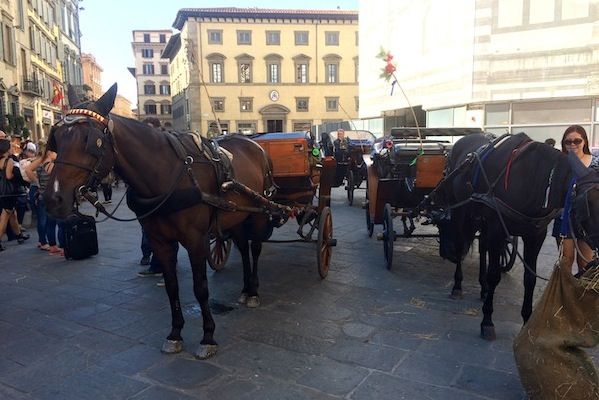 Una foto d'archivio di una carrozza a cavallo