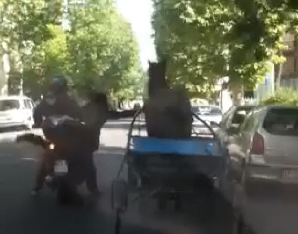 Cavallo corre contromano in via Baracca