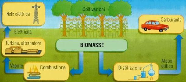 Come funzionano le biomasse (tratto da Bioenery blog)