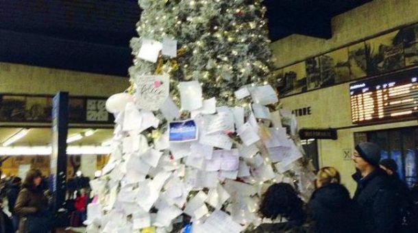 I centinaia di messaggi appesi sull'albero fiorentino