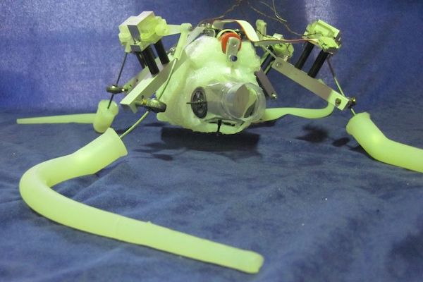 Un «polpo robot»