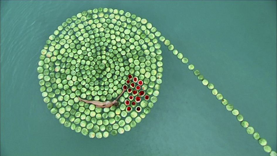 DeadSee, di Sigalit Landau, 2005, Video (Courtesy the artist)