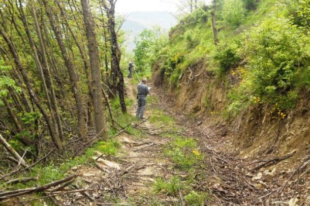 Gli uomini della Forestale nel bosco devastato a Firenzuola