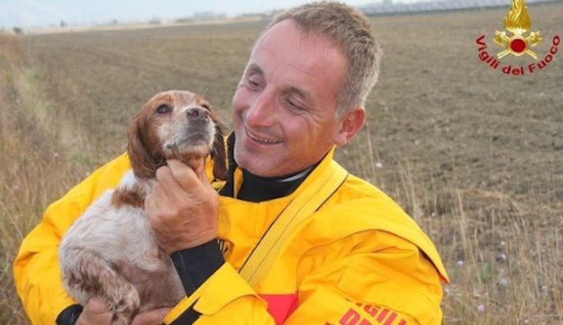 Lilla coccolata dal pompiere che l'ha salvata