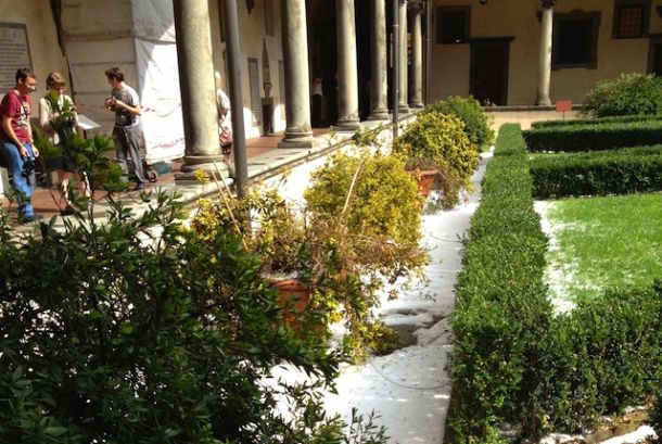 Le azalee nel Chiostro San Lorenzo danneggiate dalla grandine