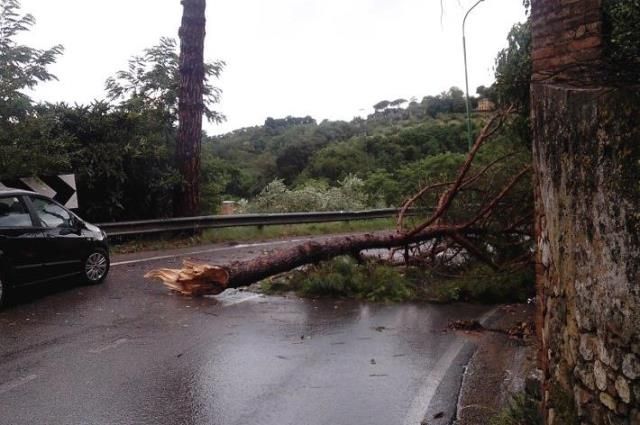 Forti raffiche di vento in Toscana