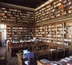 istituto nazionale di studi sul rinascimento