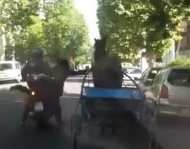 Cavallo corre contromano in via Baracca